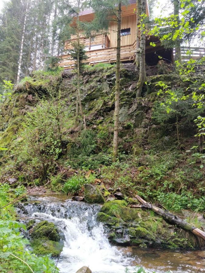 Le Refuge Perche Du Saut De La Bourrique Spa, Terrain Cloture Gérardmer Esterno foto