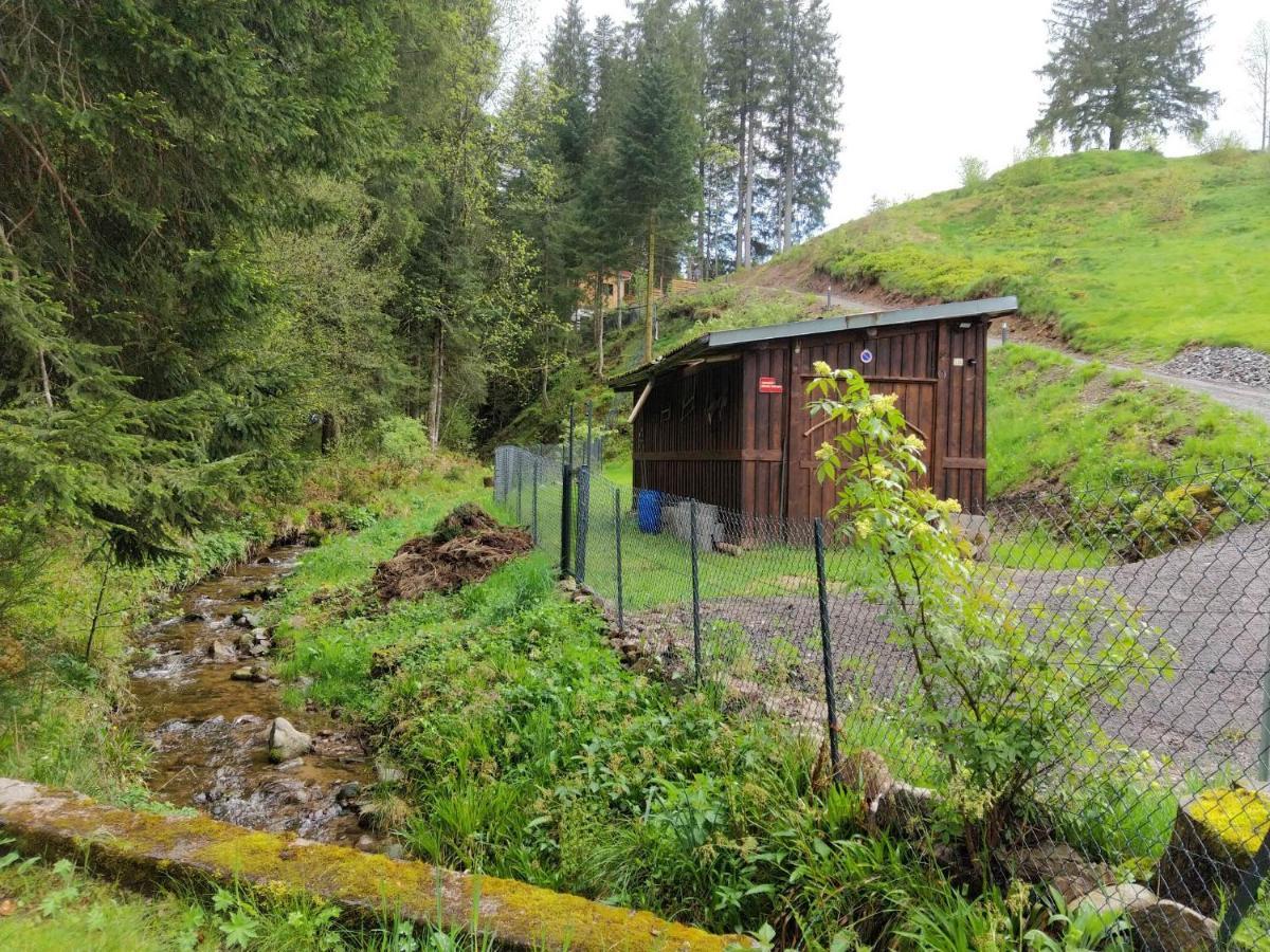 Le Refuge Perche Du Saut De La Bourrique Spa, Terrain Cloture Gérardmer Esterno foto