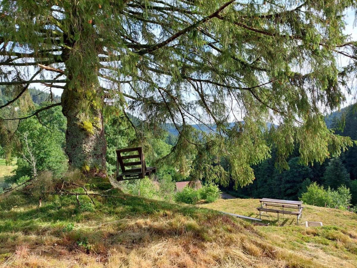 Le Refuge Perche Du Saut De La Bourrique Spa, Terrain Cloture Gérardmer Esterno foto